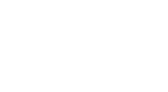 Palmera