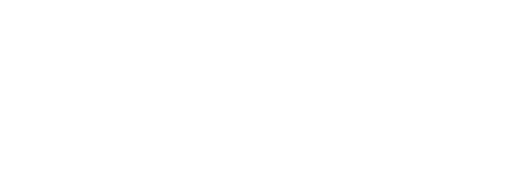 Palmera